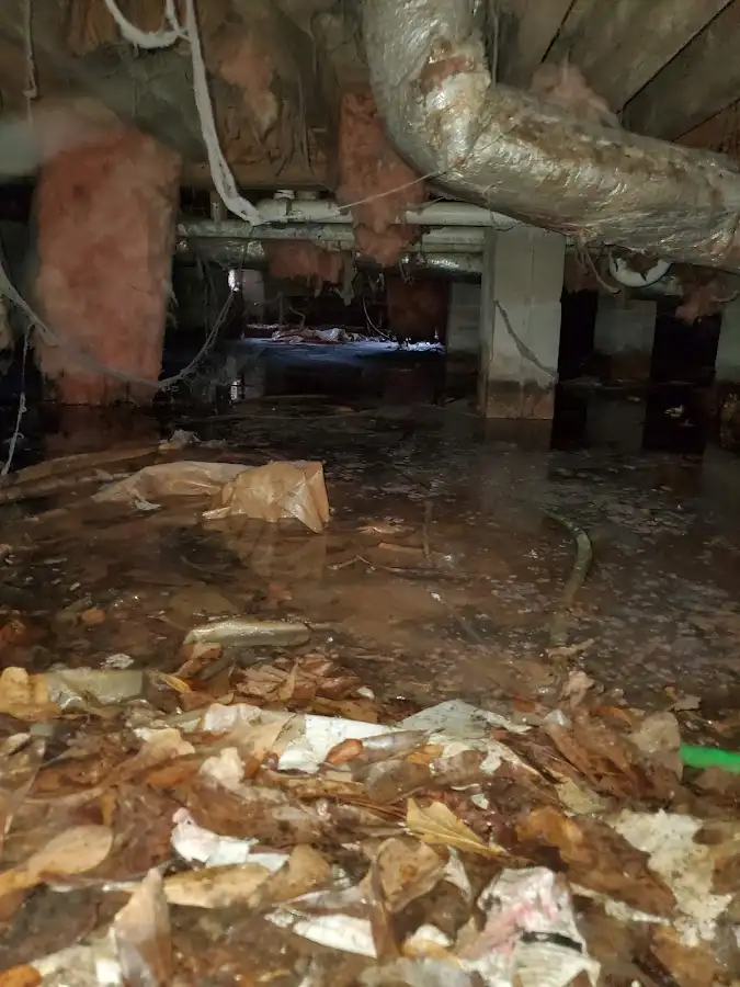 Crawl space flood assessment for Leak Detection & Repair in Somerdale