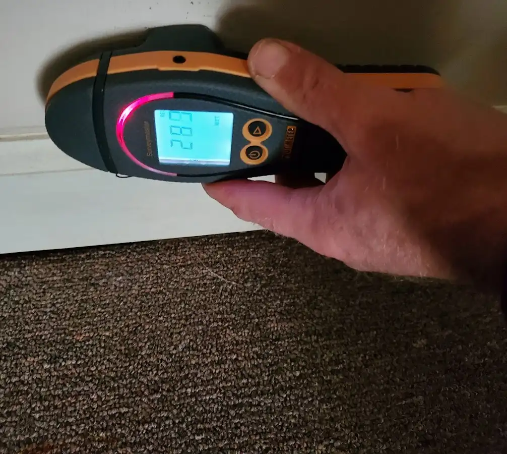 Moisture detection at baseboard during Sewage Cleanup & Sanitation in Somerdale